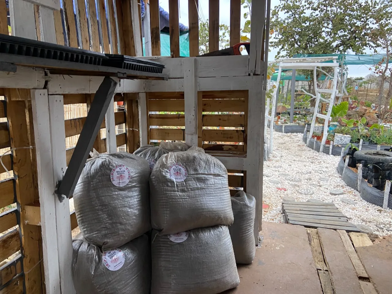Real Happy Roots bags stocked beside a garden centre and nursery in Zambia