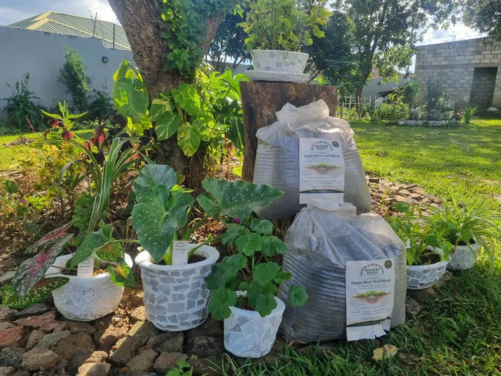 Real Happy Roots bags displayed beside healthy garden plants