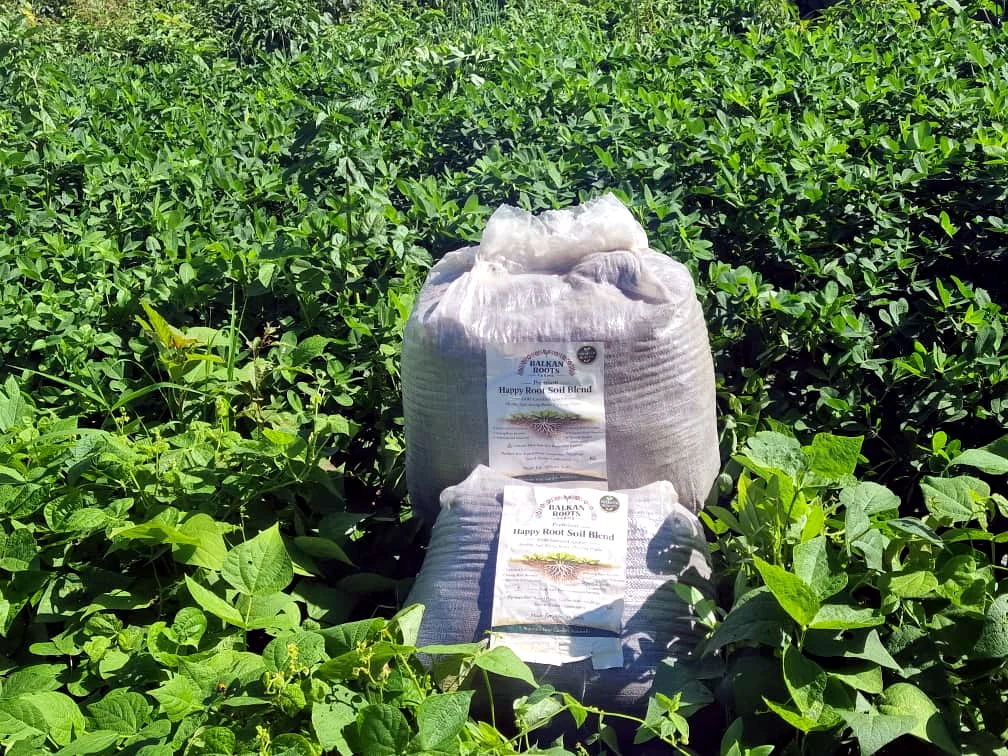 Real Happy Roots Soil Blend bags displayed among healthy green plants