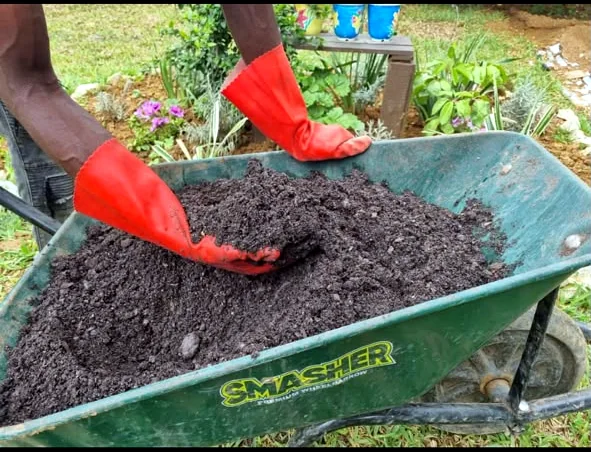 Happy Roots soil blend being handled and mixed in a wheelbarrow