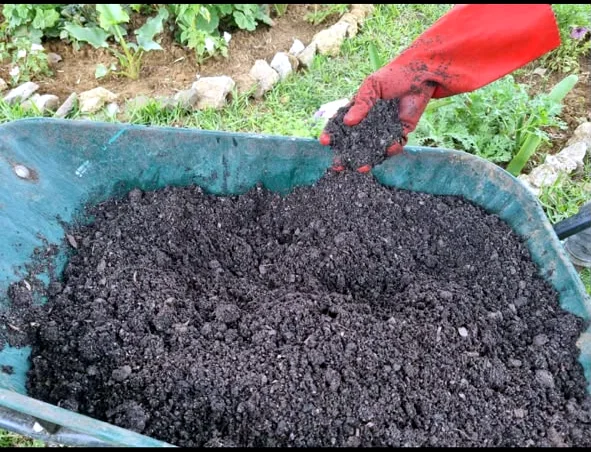Close view of dark Happy Roots organic soil blend