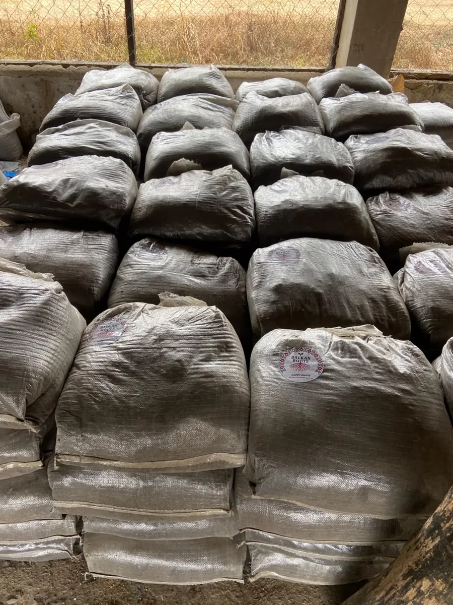 Rows of real Happy Roots bags showing available stock